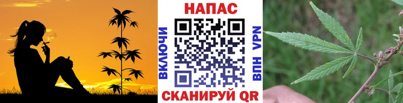 КОКАИН Черкесск