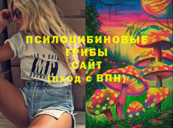 прущая мука Няндома