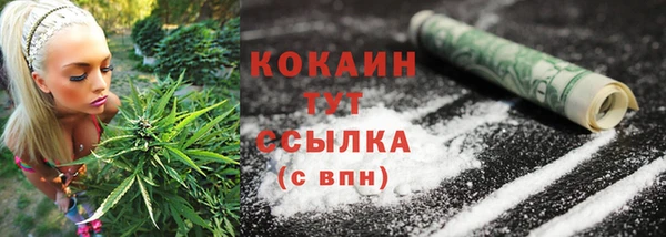 прущая мука Няндома
