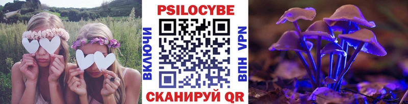 Купить закладки  Черкесск  Галлюциногенные грибы Psilocybe 